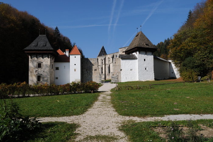 (zicka.jpg)